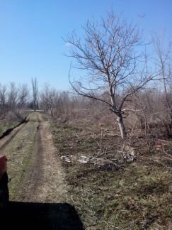 Участок 5.1 сот. (ИЖС)  Армавир