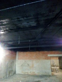 Покраска стен и потолков  Армавир