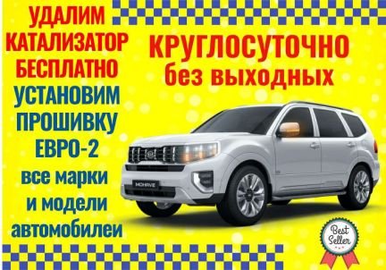 Бесплатное удаление катализаторов  Армавир