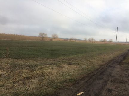 Участок 10 га (СНТ, ДНП)  Армавир