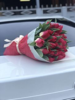 Тюльпаны  - купить на сайте объявлений Армавир онлайн