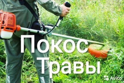 Покос травы, спил деревьев  - купить на сайте объявлений Армавир онлайн