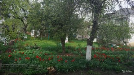 Продам 3х-комнатную квартиру, 65 м кв., 1/2 эт.  Армавир